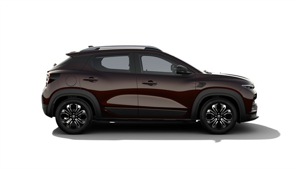 Kiger Mahogany Brown